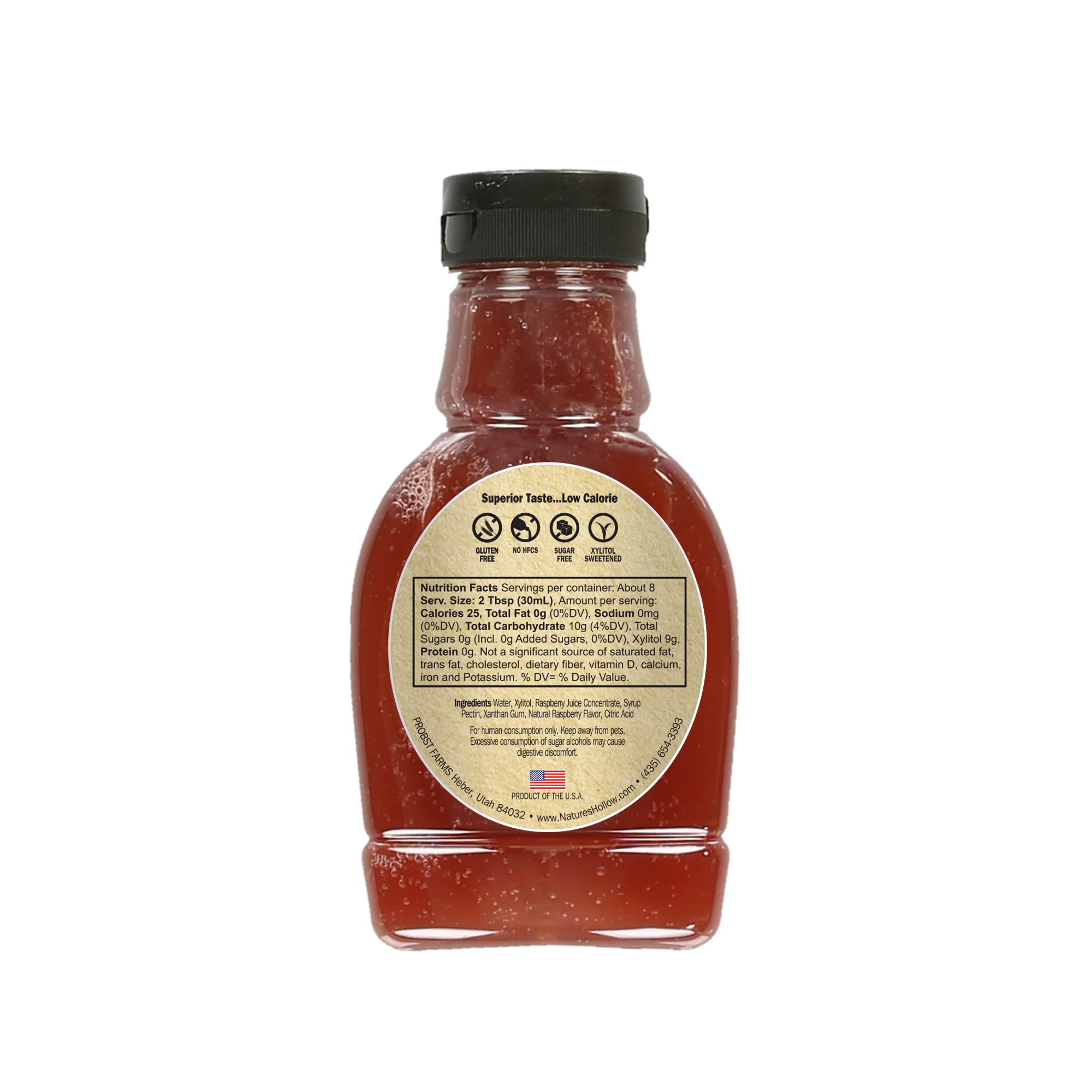 Raspberry Sugar Free Syrup CASE (6pk)